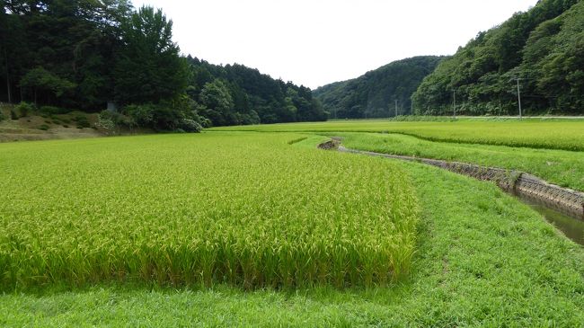 2年連続となった帰省。その時たびっとが感じたのは?