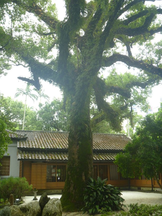 花蓮駅から普悠瑪号に乗って行き、宜蘭羅東（宜蘭文学館、国立伝統芸術センタ−、羅東夜市等）を巡りました。<br />見る所が沢山あって、ちょっと駆け足で観光しました。一泊した方が良かったです。<br /><br />羅東夜市はとても混雑していましたが、沢山美味しいＢ級グルメがあって、かなり満喫しました。