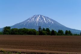 2014.6札幌出張・ニセコへドライブ3-羊蹄山の雄姿，道の駅ニセコビュープラザ，茶房ヌプリ，ニセコパノラマライン