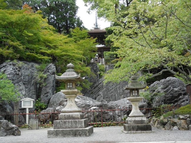 琵琶湖南から京都清水寺周辺を散策の旅。初日の比叡山・石山寺コースです!石山寺と瀬田の唐橋。石山寺散策中、スコールにあうも、神木の匂いがと傘にあたる雨音が、体にしみ込んでよかったです。瀬田の唐橋まで歩きつくと、空も晴れて、鮮やかな黄色の姿がよかったです。