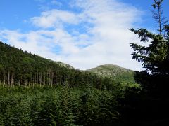 聖岳～光岳縦走　（１日目　東京～椹島ロッジへの大移動日）　