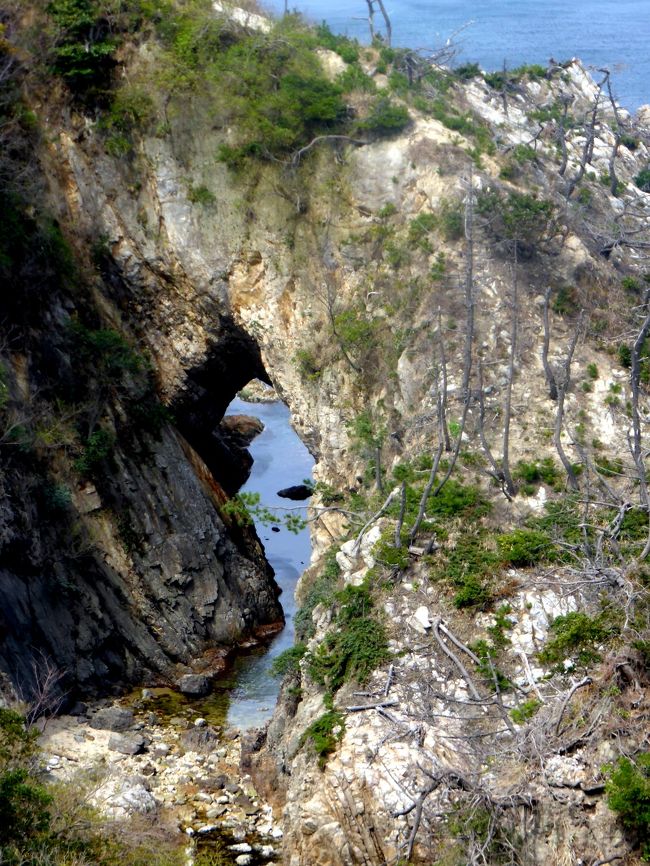 ”山陰海岸ジオパーク”は鳥取から京都に跨る110kに及ぶ日本海沿岸一帯で、日本がまだアジア大陸の1部だった時代の記憶を留める地層があるらしい。<br /><br />この一帯が平成20年日本ジオパーク委員会から「日本ジオパーク」として認定を受け、平成22年、「世界ジオパークネットワーク」に加盟が認定された。<br /><br />海岸線に沿ったジグザグ道路は絶景が連なるが、それだけに事故も多かったらしい。<br /><br />平成26年”山陰近畿自動車道・駟馳山バイパス”が開通。<br /><br />運転手さんによれば、「最近は海岸沿いでは観光バスもめったに見かけない」との事。<br /><br />これから先暫くは、タクシーの運転手さんが案内してくれた、海岸線沿った絶景の場所々で運転手さんが車を止めて呉れ、そこで撮った記録写真集。<br /><br />その1鴨が崎。