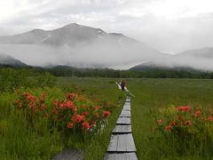 尾瀬　ワタスゲの白い絨毯　（鳩待峠～アヤメ平～彈四郎小屋テント泊～尾瀬ヶ原～鳩待峠）