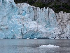 アラスカ 北の大地＆野生動物（8/全9）： プリンス・ウィリアム湾 氷河クルーズ 26の氷河＆ラッコの大群