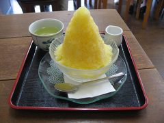 ’１４　夏の四国ローカルグルメ旅２５　愛媛：今治散策　重松飯店（焼豚玉子飯）～登泉堂（かき氷）～今治城～玉屋サントノーレ（かき氷）～松山　あんから庵（かき氷）～松山空港