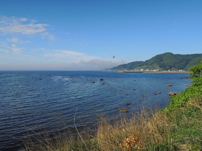 徳島からクルマで陸路1300キロ、青森まで走り、そこからフェリーで函館に渡りました。<br />そして、函館をスタートして、文字通り、北海道の海岸線をぐるりと一周してきました。<br />北海道の海岸線は、本州の景色とは、ひと味ちがいました。<br />まさに絶景の連続でした。<br />まずは、函館から南に海岸線を走り、最南端、白神岬に到達しました。<br />ちょうど、霧がでていて、青い空と幻想的な景色に出会えました。<br /><br />ここでは一部の写真のみアップしています。<br />つづきの写真と説明などは<br />以下を見ていただければ幸いです。<br />http://mackenmov.sunnyday.jp/macken/travel_japan/2014travel/201406hokkaido/140531/140531sirokami.html<br />宜しくお願いいたします。