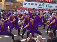 そうだ！お祭りに行こう(ワンコとお散歩 高円寺阿波踊り)