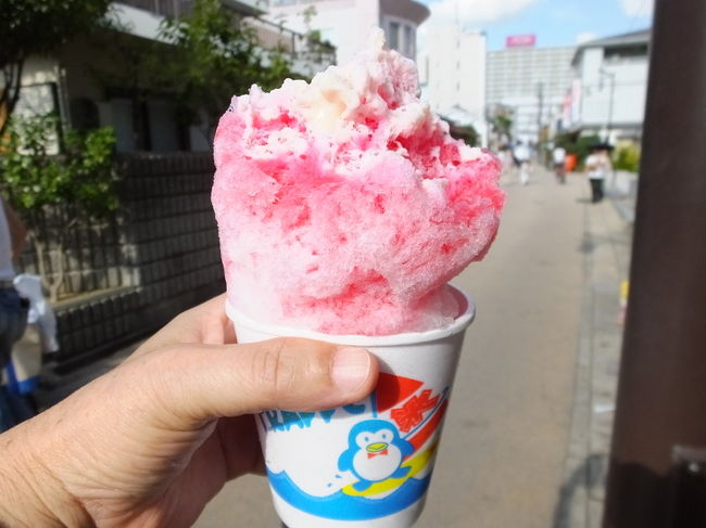枚方まつり 2014年<br />23日と24日の両日枚方まつりが開催されています。<br />本日は、何枚も献血依頼のはがきがきていたので<br />枚方市駅下にある献血ルームにいって400ccの献血のあと<br />枚方まつりをぶらりと撮影してきました。<br />でもはやり400ccの献血のあと動きまわるのはちょっと無理がありましたね。<br />後半は身体が疲れてきてしまいました。<br />ちょっとバテ気味!