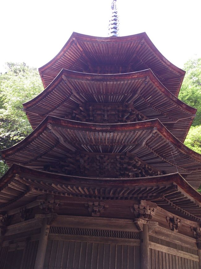 信州の鎌倉と呼ばれる別所温泉と真田氏縁の土地として知られる上田を回る、一泊二日の小旅行に出ました。<br />温泉に蕎麦にお寺巡りと、盛りだくさんの旅でした！<br />その記録です。