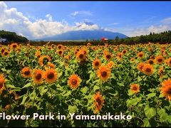 【夏の高原ドライブ】 青空の下で夏を満喫♪山梨＆信州へ！