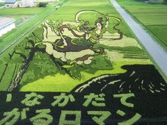 今年のテーマは、「富士山と羽衣伝説」　−　青森県田舎館村の田んぼアート２０１４