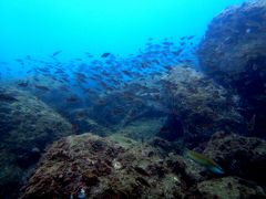 シュノーケリングと温泉の旅 in 天草