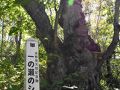 湯田中渋温泉郷・志賀高原の旅行記