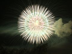 真夏の森林公園とナイトズーの埼玉こども動物自然公園のはしごは楽しい！（４）東松山花火大会も楽しめたナイトズー