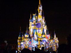 2014.7 ディズニークルーズ３泊４日カリブの旅＆８年ぶり３度目のWDW⑩…マジックキングダムは夜が熱い！