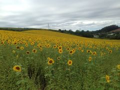 【2014夏休み】北海道4日目 美瑛編