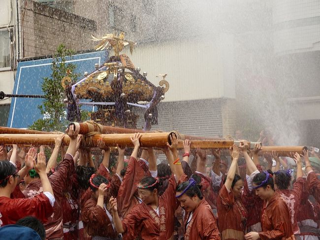 深川の夏の風物詩となっている富岡八幡宮の例祭。今年は3年に一度の本祭りにあたり、53カ町の町神輿がうねり歩く神輿連合渡御と派手な水の掛けっぷりが特徴です。<br />朝、富岡八幡宮を出発した神輿の行列は、永代(えいたい)通り〜大門通り〜深川資料館通り〜清洲通りと進み、清洲橋を渡って永代橋西詰の新川まで歩きます。昼休憩を挟んで、午後は永代橋を渡って永代通りに沿って八幡宮まで戻ります。私は午後から永代通りに出かけてきました。