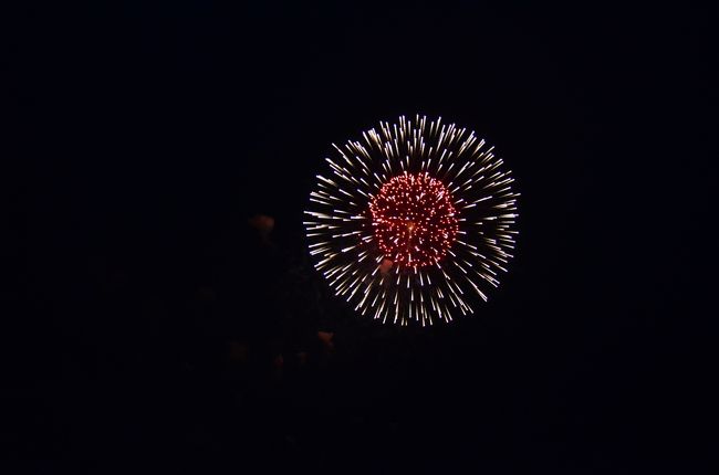 府中の花火大会に行ってきました。