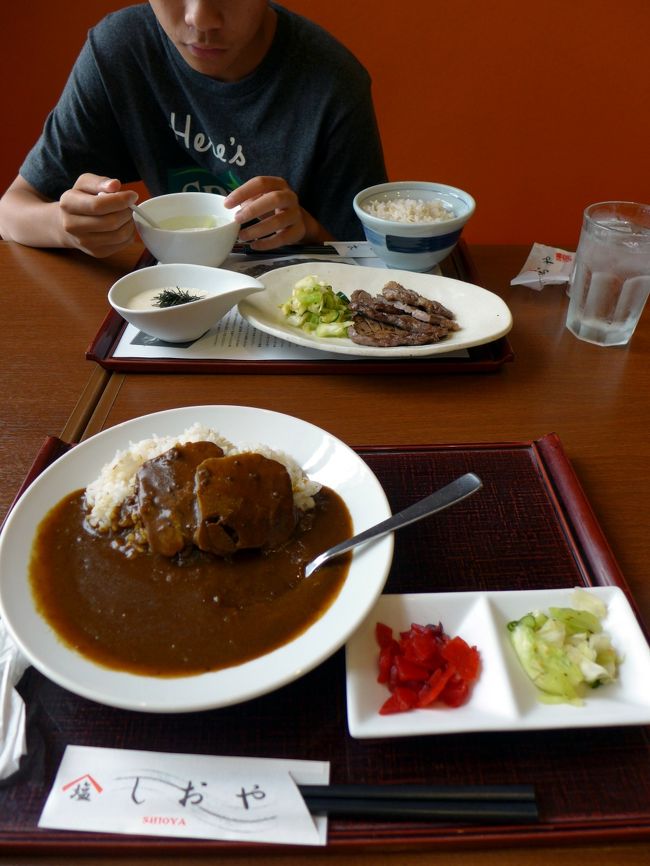 今年も夏休みを利用して、サンタモニカに住んでいる妻の妹ファミリーが一時帰国してきました。<br /><br />子供たちが小さい頃は、遠く紀伊半島まで足を伸ばしたり、花火大会のはしごをしたりと、一緒に長期の旅行をするのが楽しみでしたが、今は昔の物語。<br /><br />何とか一日半だけスケジュールを合わせ、妻の両親も誘って１泊でエクシブ蓼科に小旅行をすることになりました。<br />