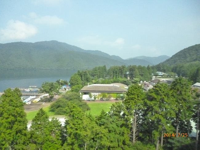 旅行会社のメールマガジンで、箱根芦ノ湖と富士山が見える旅館ということで訪問しました。湖と富士山が見える絶景の部屋でしたが、夏の暑い時期だからか上空は白くけむっており、残念ながら富士山は到着日も翌日も見えませんでした。<br />フロントは係員が二名くらいで、到着時を除いては誰もいないので、呼び出しでお願いするといったかんじでした。<br />料金も高めなので部屋食だともっといいですが、食事は広間に食卓がそれぞれあり、一つ一つ料理が出され、適温でおいしかったです。