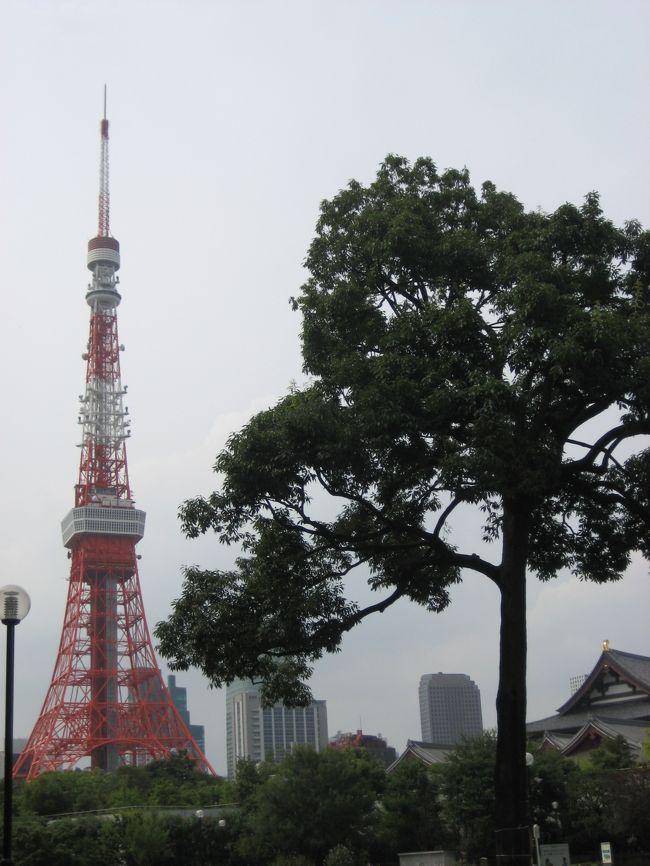 東京タワー周辺にある少し有名所の神社仏閣とお台場へ都内が空いているお盆の時期に巡ってみました。