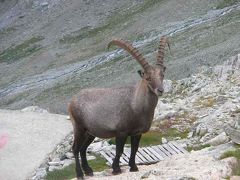 2014夏８．Tour of the Matterhorn, Col Collon to Testa Grigia