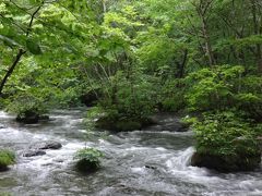 おいらせへ！奥入瀬白糸の滝から銚子大滝まで歩く