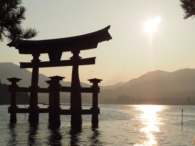 今回の旅の最大のメインである宮島へ。<br /><br />フェリー乗り場から出ていきなり鹿さん歓迎!!<br /><br />・・・と思ったら、すぐに近寄って来てスーツケースに付いていた空港の手荷物シールをむしゃ。<br />紙ではないので食べたらマズイと思って引っ張ってもびくともせず。<br />むしり取れなかったので鹿さんもあきらめてその場を離れて行きましたがいきなり手荒い歓迎(笑)<br /><br />その後ホテルにチェックインして夕食まで時間があったので夕暮れの宮島散策~。<br />我慢出来ずに露店の焼き牡蠣をパクリ(笑)うま~い。<br />焼き牡蠣に舌鼓を打ちつつ、夕日に映える大鳥居には本当に感動!!<br /><br />しかし、宮島の鹿さんはほんとに動かない(笑)写真撮るのが楽で助かりました。<br /><br />夜は屋形船で大鳥居を見て、宿を満喫して翌日は早起きして海沿いを散歩。<br />曇っていたのが残念ですが気持ちよかった~。<br /><br />日中は島内をぶらぶら。まずは牡蠣とビールのコラボから始まり、あなごめしを食べて、また牡蠣とビールのセットを数セット繰り返し。。。何個牡蠣を食べたことやら(笑)<br /><br />最終日は土曜日と言うことだけあって観光客が多い多い。<br />でも、世界遺産を見に来れたと言う満足感は最高でした。<br /><br />次は紅葉の時か桜が咲いている頃に訪れたいですね~。<br /><br />広島一人旅~大久野島編~<br />http://4travel.jp/travelogue/10921914<br /><br />広島一人旅~尾道編~<br />http://4travel.jp/travelogue/10921909<br /><br />広島一人旅~広島市内編~<br />http://4travel.jp/travelogue/10921920