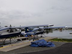 オプショナルツアー　Lake Creekでのサケ釣り