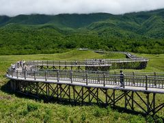 自然を満喫する夏の北海道16日間の旅（１４）知床編③　知床五湖散策