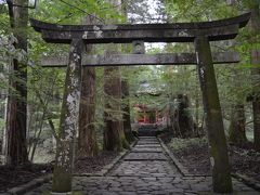 日光ドライブ　二日目　湯ノ湖、戦場ヶ原、竜頭の滝、滝尾神社　