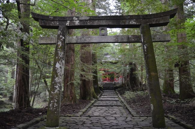 暑い毎日を避けて、涼しさを求めて日光へ。<br />息子ファミリーを誘って、車で奥日光までドライブした。<br /><br />一日目は、東京から一気に奥日光の光徳牧場まで行った。<br />のんびりと牛さんの放牧を見たりして、宿泊地の湯本温泉に向かった。<br />湯ノ湖や湯滝を見て、早めに宿に着き、露天風呂などを楽しんだ。<br /><br />二日目は、湯滝から戦場ヶ原の散策、湯ノ湖畔の散策。<br />中禅寺湖畔から竜頭の滝を見て、日光のパワースポットである「滝尾神社」を参拝した。<br />滝尾神社では、突然に雨が降り出し、神秘的な参拝に成った。<br /><br />行程<br />８月２４日(日）光徳牧場、湯滝、湯ノ湖<br />http://4travel.jp/travelogue/10922309<br />８月２５日（月）湯ノ湖、戦場ヶ原、竜頭の滝、滝尾神社<br />http://4travel.jp/travelogue/10923059