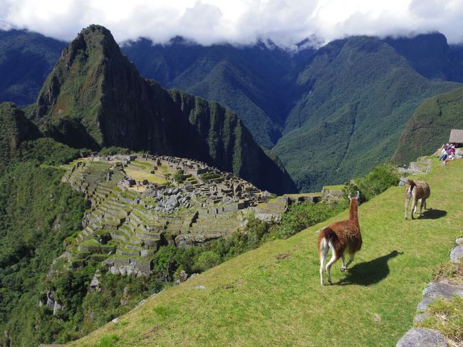 南米左側！女一人旅の写真たちですー。<br />南米は初でしたが、大好きになりました！<br />そんな大好きがきっと伝わる写真たち。楽しんでいただきたい〜。<br /><br />★エクアドル→ペルー→ボリビア→イースター島→チリ★<br />へと、移動しましたー。<br />良かったら！色んな国の写真を楽しんでください。<br />そして、これから南米左側に行かれる方の、何かお役に立ちますよーに！