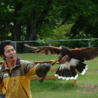 久しぶりの那須温泉！　隠れ家的ペンション　”バイブリー”へ急遽お泊り 2013年６月