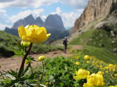 2014年オーストリア・イタリアの旅　№9 　　＊＊＊ Porta Vescovo から Passo Pordoi ハイキング＊＊＊