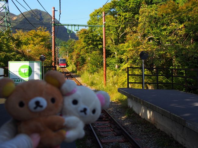 毎年、秋恒例の母との旅行<br />今年は箱根にしました<br />私はかなり昔に一人で行ったことあったんですけどね。<br />母は行ったことないというので。<br /><br />10月の3連休だったため、ものすごい人出でした。<br /><br />１日目は、強羅公園散策だけで終了してしまいました。