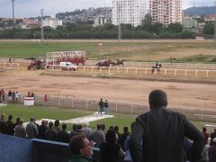 2014 ポルト・アレグレのクリスタル（リオ・グランデ）競馬場でゆったりとローカル競馬！