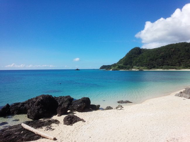 今年の夏休みは奄美大島で自然を満喫してきました！