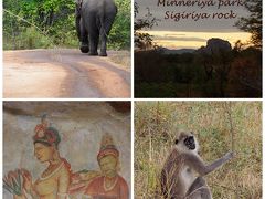 2.5日間で欲張りスリランカ！ ～ミネリヤ国立公園からシギリヤ～ 2014年夏 南アジア旅行⑧