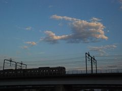 ちょっぴり散歩 「公園の蝉探しと夕暮れの多摩川」（川崎）