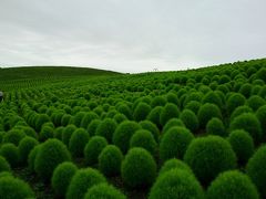 ﾏｲｶｰで、茨城県、鵜の岬と国営ひたち海浜公園