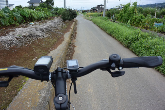 今日は自転車で沼津へ…。<br />4時間強、約50Km走って来ました。<br /><br />※位置情報一部不明確な場所あり。<br /><br />★沼津市役所のHPです。<br />http://www.city.numazu.shizuoka.jp/<br /><br />★岳南電車のHPです。<br />http://www.fujikyu.co.jp/gakunan/home.html
