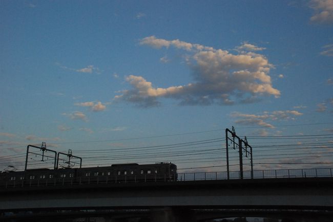 川崎の等々力（とどろき）緑地に蝉の声を聴きに行き、近くの多摩川で夕暮れの鉄道写真を撮りました。<br /><br />都会では蝉が少なくなってきていますが、暑い夏には蝉の鳴き声があいます。<br />