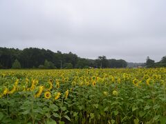 【その4 阿寒湖～帯広編】2014年 夏の涼しい北海道！夫婦で5泊6日道東ドライブ旅