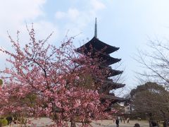 2014 今年最初の遠征は神戸へ【その７】東寺に初めて拝観