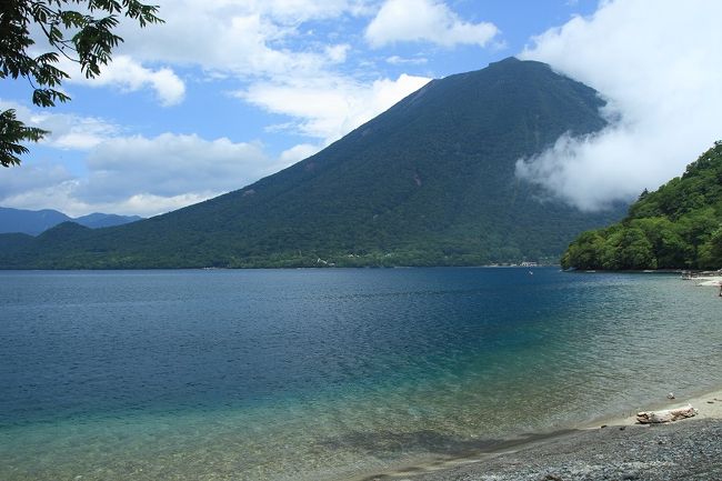 4ヶ月ぶりに奥日光に行ってきました。前回はキビタキ三昧でしたが、今回はそうはいかないだろうと歩くことをメインに考えていました。赤沼から戦場ヶ原に向かう途中にオオルリの若鳥がいきなり顔を出してくれました。この瞬間、目的は鳥見へと大きく傾くのでした…。