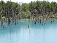 夏はやっぱり北海道だべ！（昭和新山～旭川、美瑛の青い海）