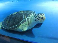 北海道小樽の旅　～祝津まで行ってみたの巻