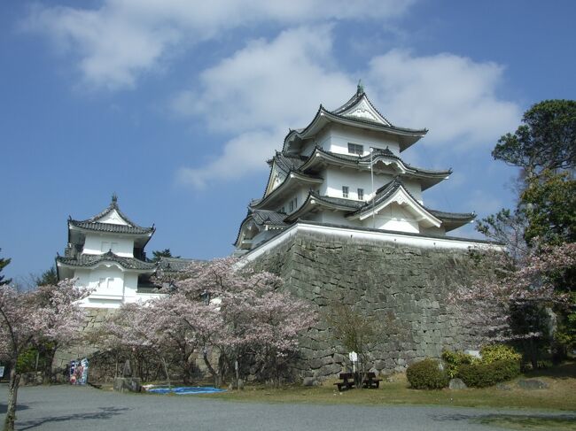 突然、吉野の桜を見に行きたくなり、めずらしく車を運転して三重と奈良へ。<br />大和国長谷寺は本堂にいたる三百三十九段の登廊が印象的であった。伊賀上野城はなんといっても石垣、とてもすばらしく感動的であった。