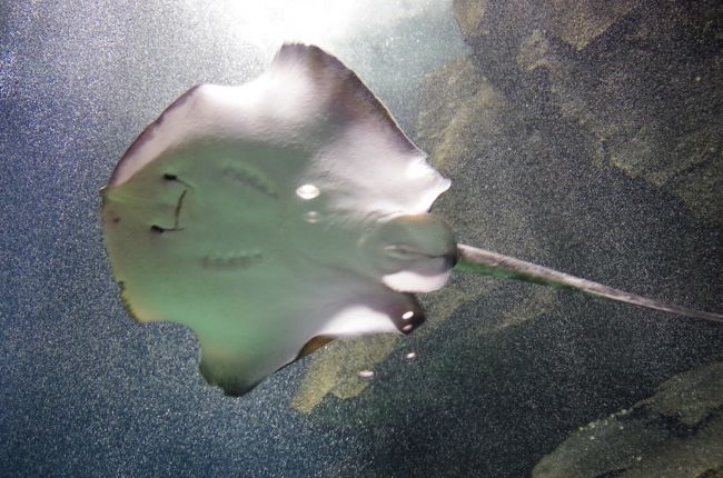 Day2 湯野浜海岸から加茂水族館　です